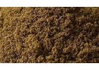 FlyFarm - Sustainably Reared BSFL Protein Meal: Ideal Fishmeal Replacement