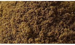 FlyFarm - Sustainably Reared BSFL Protein Meal: Ideal Fishmeal Replacement