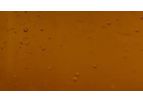 FlyFarm - Sustainable Black Soldier Fly Insect Oil for Livestock Feed Enhancement