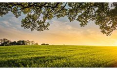 FlyFarm - BSF Larvae Frass Fertiliser