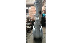 Bell - Rising Stem Flanged Gate Valve