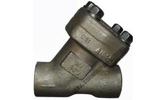 Bell - Forged Steel Y Type Check Valves