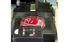 Model PickoloMI - Colony Picking And Sample Preparation For Maldi-Tof Identification