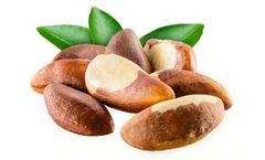 Model BN-EK-48 - Brazil Nut ELISA Kit - 48 wells