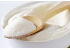 Zacken - Model ZK185 - Lactobacillus Plantarum Powder