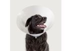KVP - Model Betsy - Collar