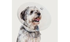 KVP - Model Check - Collar