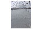 Poly-Ag Corp - Chemical and Sola Fumigation
