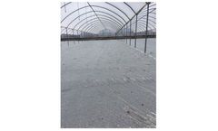 Poly-Ag Corp - Chemical and Sola Fumigation