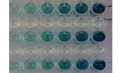 Tymora Analytical - Model 900 - pIMAGO HRP Colorimetric Detection on Microplate (Complete Kit)