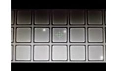 Single cell picking from Nanowell plate | CellCelector - Screen view - Video