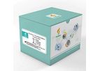 FireGene - Model FG-0415 - Lysate2Ct Kit
