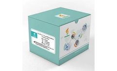 FireGene - Model FG-0415 - Lysate2Ct Kit