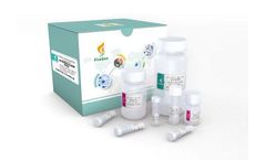 FireGene - Model FG-0510 - Microbial DNA Extraction Kit