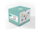 FireGene - Model FG-COVPCR - COVID-19 Nucleic Acid Detection Kit