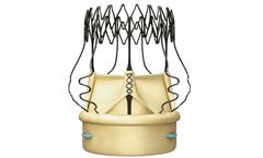 Corcym - Model Perceval - Surgical Sutureless Valve
