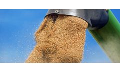 Dry Air Systems for Seeds Preservation