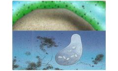 Biomatix - Adsorption and Degradation Services