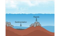Biomatix - Sedimentation Services