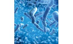 Biochemical Degradation Products for Organic Waste Transformation