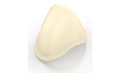 Alien - Zirconia Coping