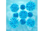 Detection of Hepatitis C Virus (HCV) Kit