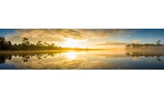 Nature Plus EcoCare - Odor Elimination Formulae