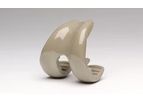PEEK-OPTIMA - Knee Replacement Solutions