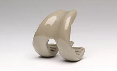 PEEK-OPTIMA - Knee Replacement Solutions