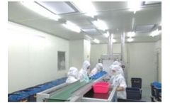 Contract Manufacting Services