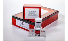 Model Attest - A Fully Branded, Turnkey Line of Dip Drug Tests