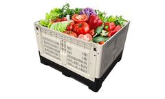 Enlightening Pallet - Model pallet - Collapsible Pallet Box