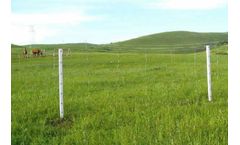 DongXin - Field Fences with Square Knots (S Knots Fence)