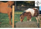 DongXin - Horse Fence