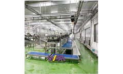 Wofeng - Model WFA FS-KB04-M - Sheep Abattoir Equipment