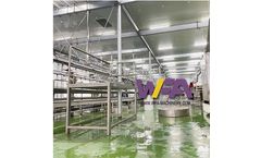 Wofeng - Model WFA FS-KB04 - Bleeding Conveyor System