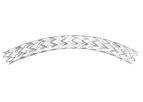Tsunamed - Model MAGMA - Rapamycin-Eluting Coronary Stent System