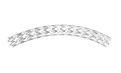 Tsunamed - Model MAGMA - Rapamycin-Eluting Coronary Stent System