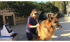Gigaa Laser - Model Class IV - Therapeutic Veterinary Diode Lasers