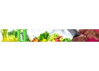 Online Meal Log and Diet Analysis App