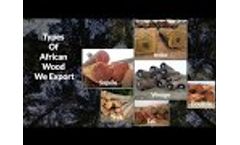 Cameroon Timber Export (Supplier ,Wholesaler & Exporters Of African Wood)- Video
