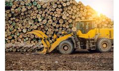 Cameroon - Wood Processing Services