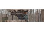Cameroon - Wood Harvesting Services