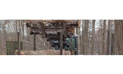 Cameroon - Wood Harvesting Services