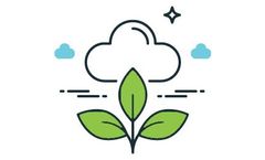 Smart Agriculture Services
