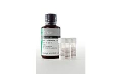 Santa Cruz Biotechnology, Inc. - RIPA Lysis Buffer System