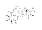 Santa Cruz Biotechnology, Inc. - Bafilomycin A1