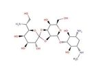 Santa Cruz Biotechnology, Inc. - Hygromycin B solution