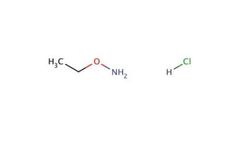 Santa Cruz Biotechnology, Inc. - O-Ethylhydroxylamine hydrochloride