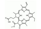 Santa Cruz Biotechnology, Inc. - Pheophorbide a